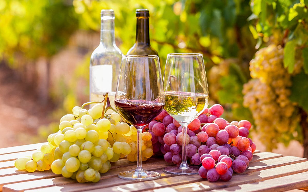 guided tour of peles castle & cantacuzino castle from bucharest with wine tasting-8 guided tour of peles castle & cantacuzino castle from bucharest with wine tasting-8