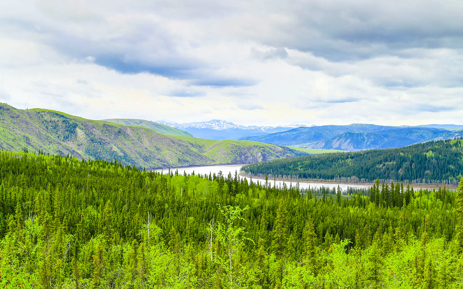 Yukon River winding through lush green forest and mountains in Alaska.