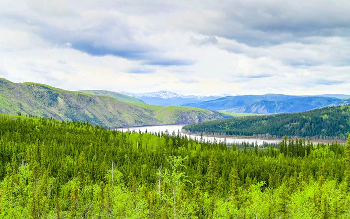 Yukon River winding through lush green forest and mountains in Alaska.