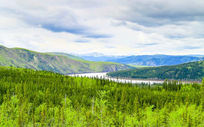 Yukon River winding through lush green forest and mountains in Alaska.