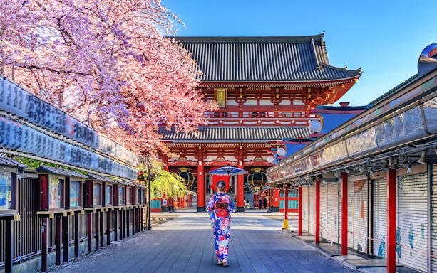 Person in kimono walking towards Senso-ji Temple, Tokyo, with cherry blossoms in bloom.