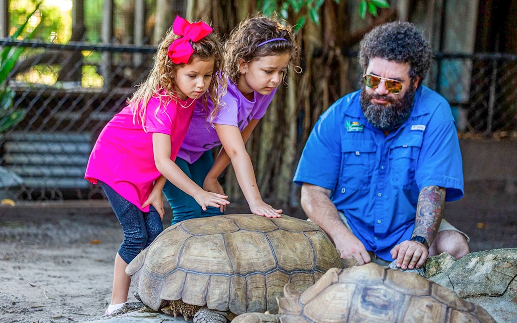 Children interacting with tortoises at Everglades reptile exhibit.