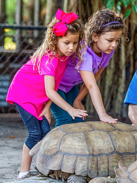 Children interacting with tortoises at Everglades reptile exhibit.