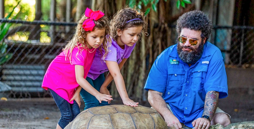 Children interacting with tortoises at Everglades reptile exhibit.