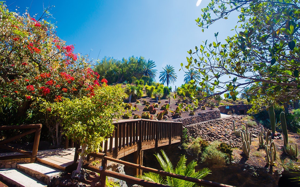 Entrance path with wooden bridge and lush plants at Oasis Wildlife Fuerteventura.