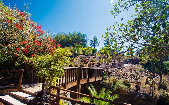 Entrance path with wooden bridge and lush plants at Oasis Wildlife Fuerteventura.