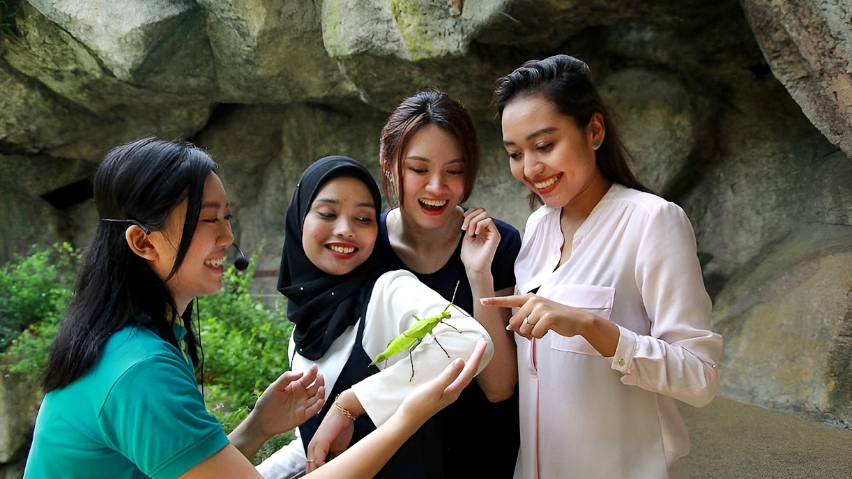 Guests exploring lush greenery and diverse butterflies inside Entopia by Penang Butterfly Farm, Malaysia.
