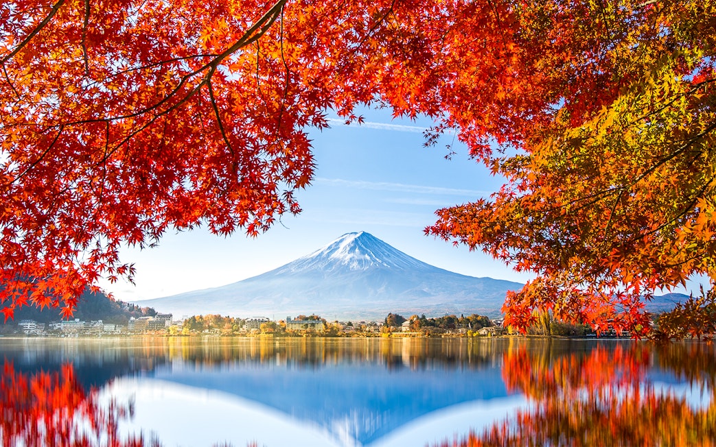 Reflection of Mt. Fuji in Lake Kawaguchi framed by autumn leaves.