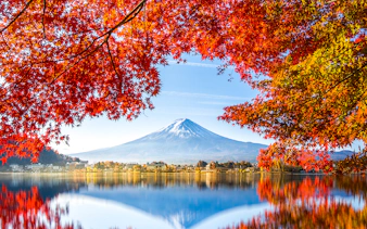 Reflection of Mt. Fuji in Lake Kawaguchi framed by autumn leaves.
