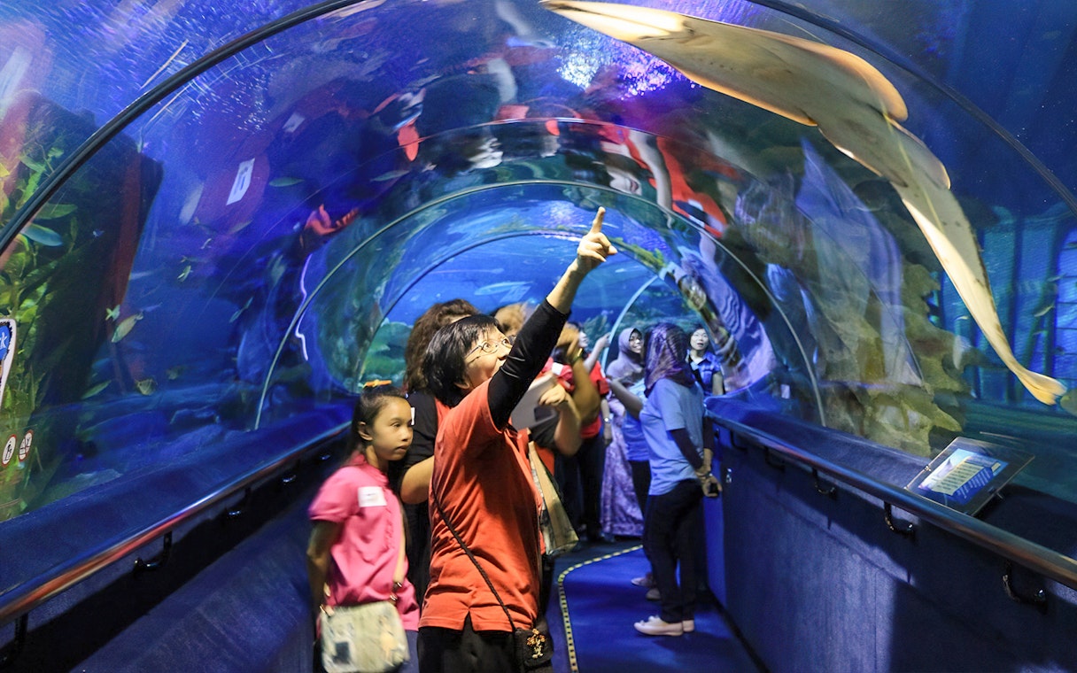 Visitors observing marine life in the tunnel at Aquaria KLCC, Kuala Lumpur.
