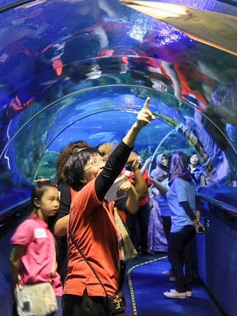 Visitors observing marine life in the tunnel at Aquaria KLCC, Kuala Lumpur.