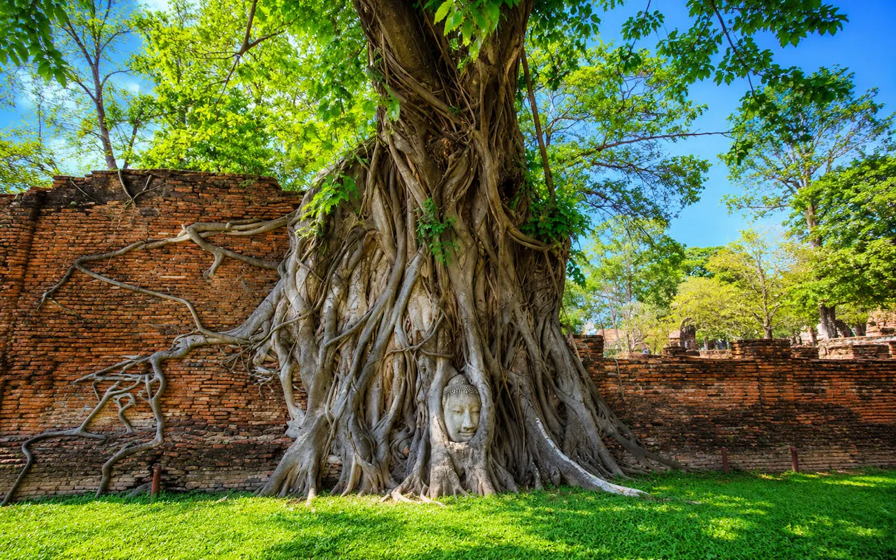 bangkok: ayutthaya temples, thai traditions & local life-6