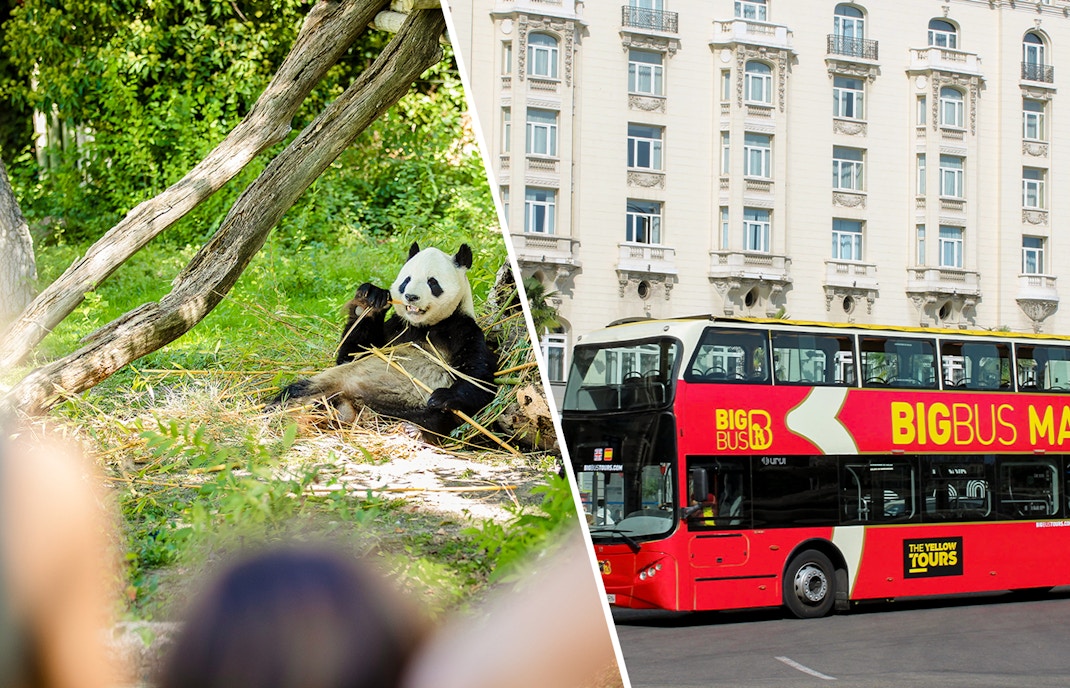 Madrid Zoo entrance with Big Bus tour in the background, combo offer available.