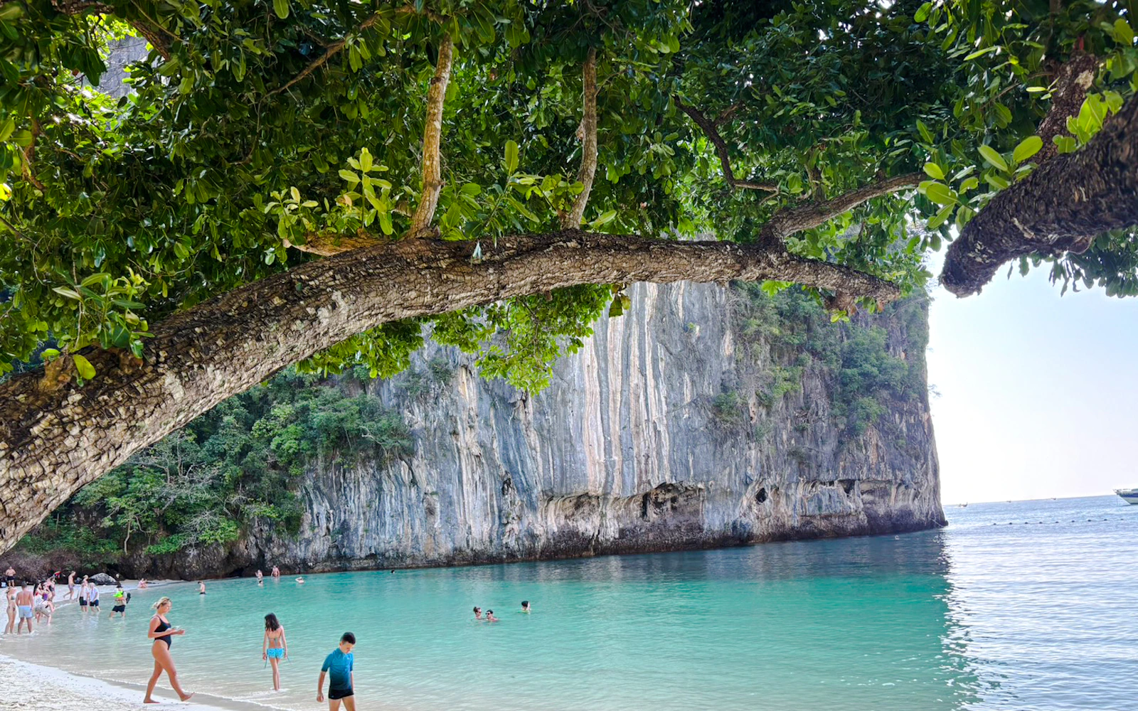 Krabi : Hong Island Early Bird with Emerald Lagoon & Snorkel