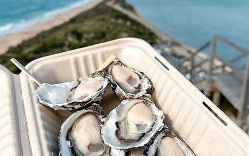 3 day tasmanian highlights bundle 2 – hobart, wineglass bay and bruny island-5