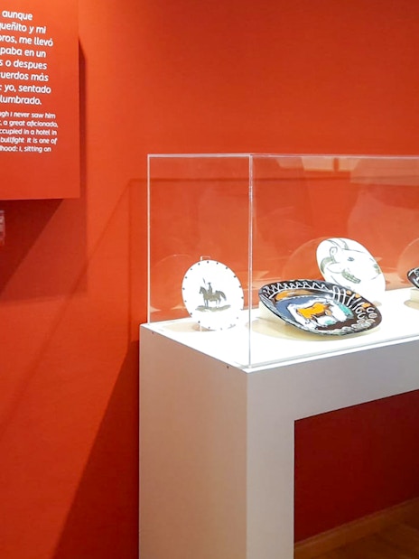 Visitor viewing ceramic plates at Picasso's Birthplace Museum in Málaga.