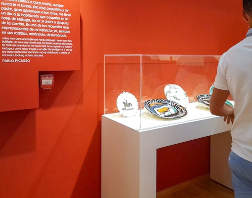 Visitor in front of art at the Picassos Birthplace Museum