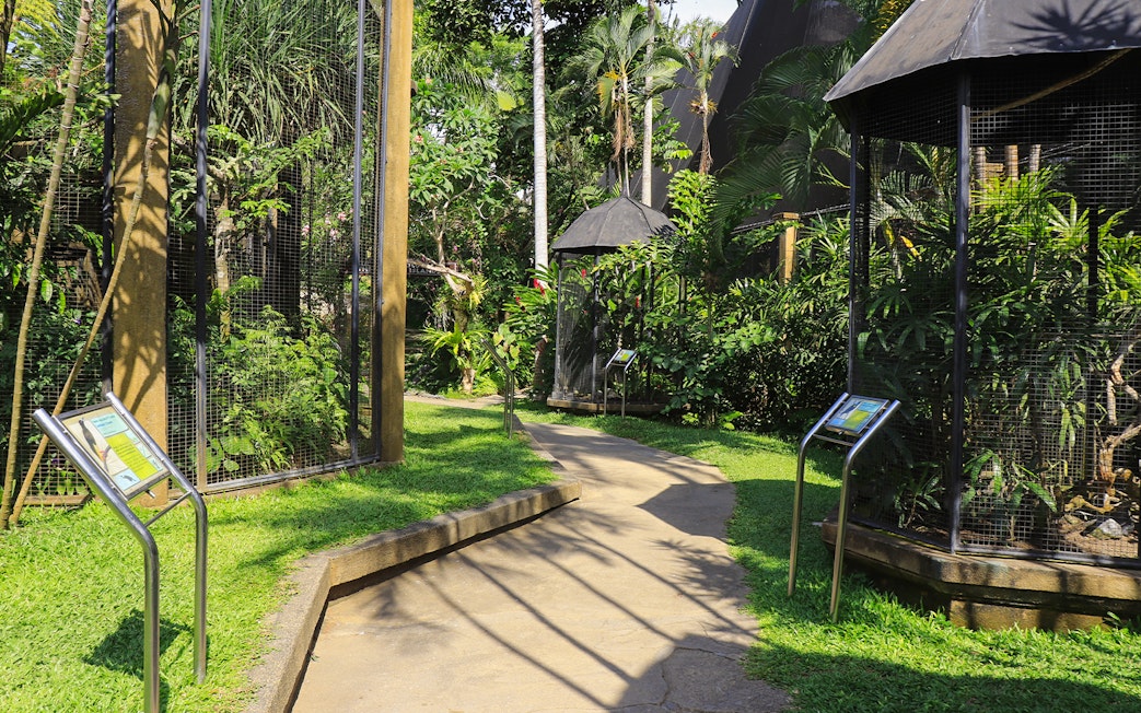 Pathway through lush greenery and bird enclosures at Bali Bird Park.