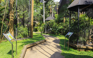 Pathway through lush greenery and bird enclosures at Bali Bird Park.