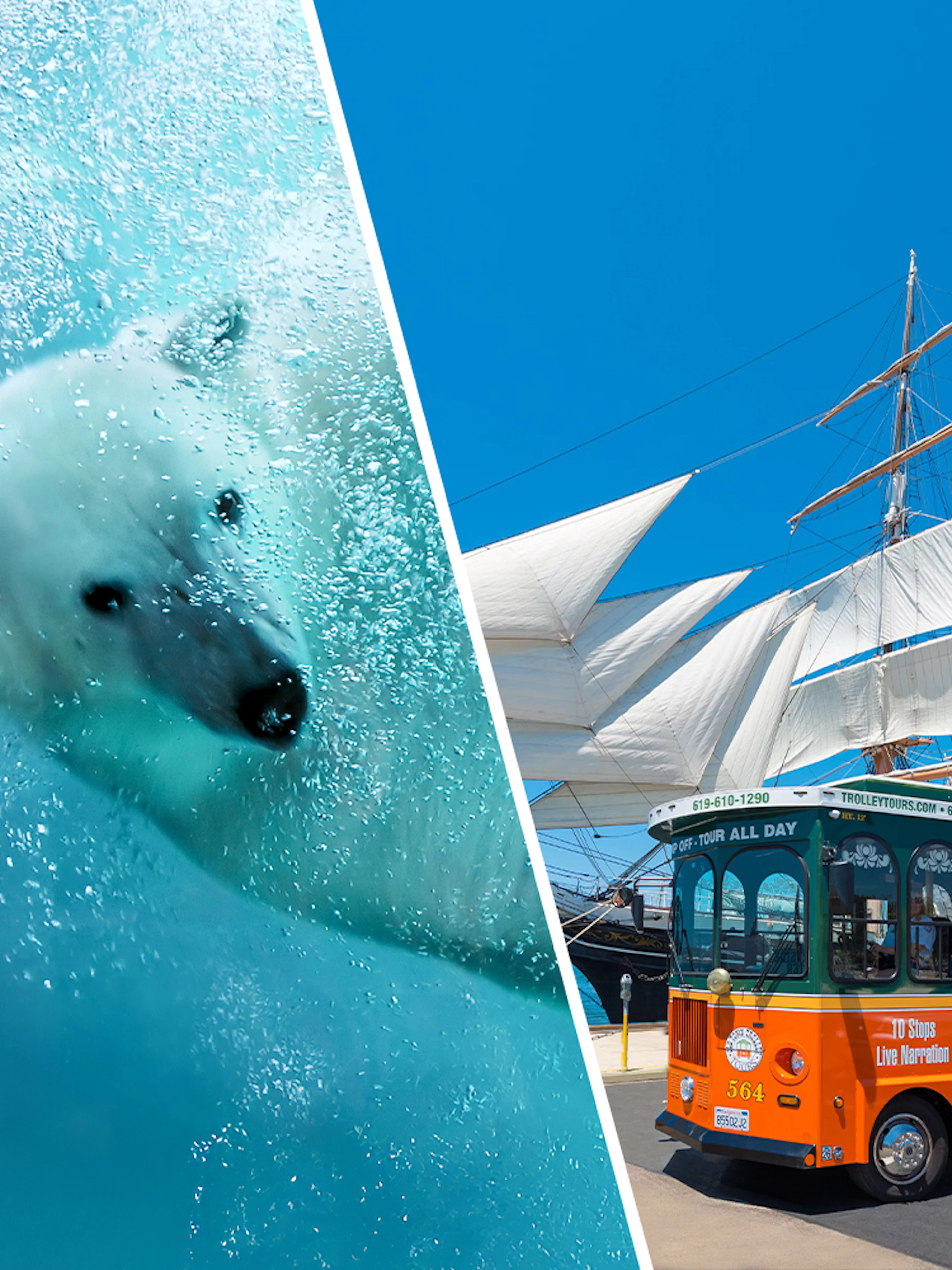 San Diego Zoo polar bear swimming and Old Town Trolley near historic ship.
