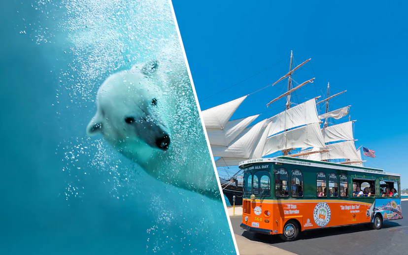 San Diego Zoo polar bear swimming and Old Town Trolley near historic ship.