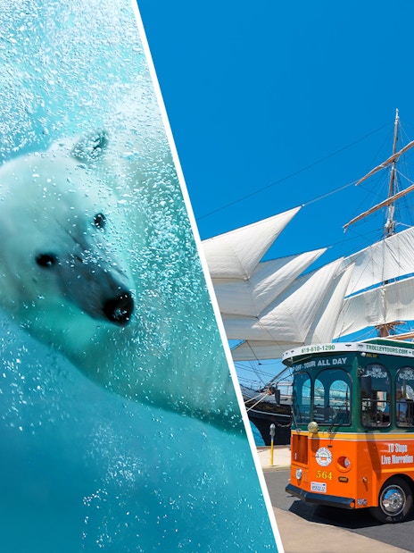 San Diego Zoo polar bear swimming and Old Town Trolley near historic ship.
