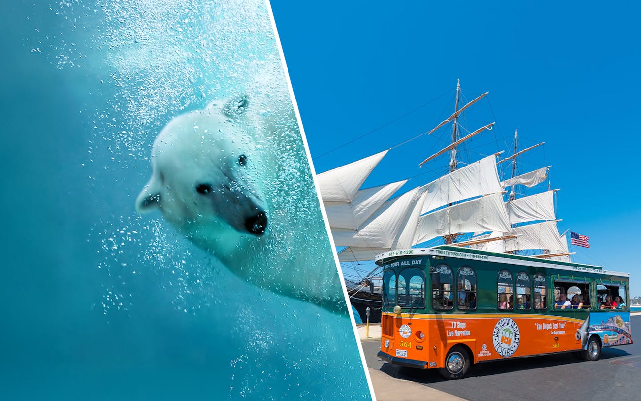 San Diego Zoo polar bear swimming and Old Town Trolley near historic ship.