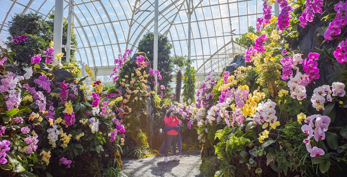 New York Botanical Garden