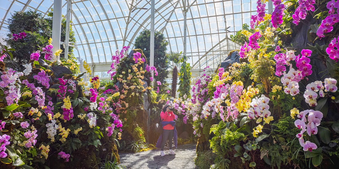 New York Botanical Garden