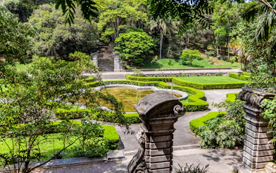 Jardim Botânico Sao Paulo garden with stone steps, lush greenery, and a pond.