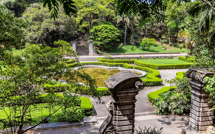 Jardim Botânico Sao Paulo garden with stone steps, lush greenery, and a pond.