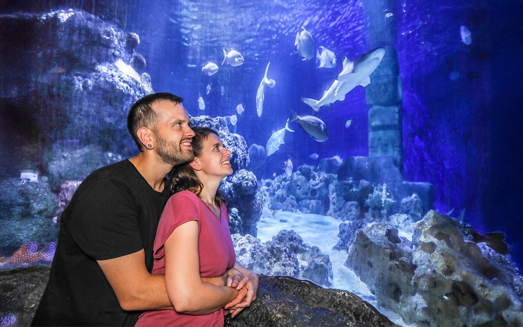Couple observing colorful fish in Sea Life Hannover aquarium.