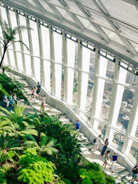Visitors exploring the lush greenery and city views at Sky Garden, London.