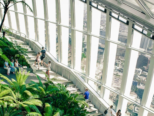 Visitors exploring the lush greenery and city views at Sky Garden, London.