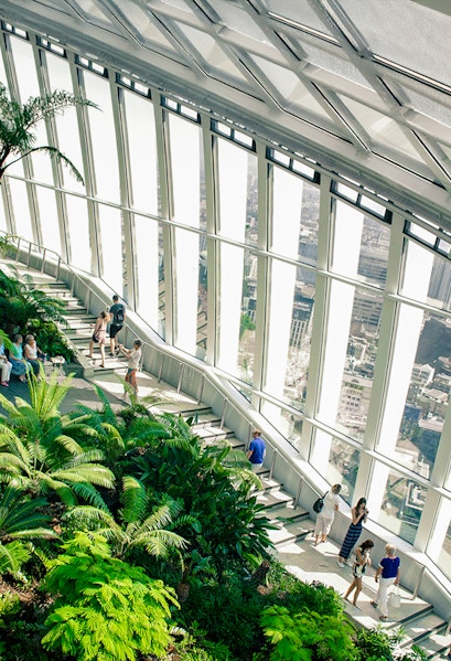Visitors exploring the lush greenery and city views at Sky Garden, London.