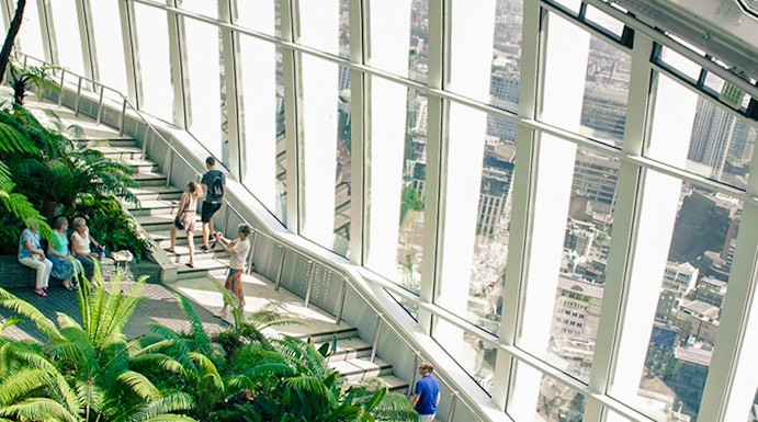 Visitors exploring the lush greenery and city views at Sky Garden, London.
