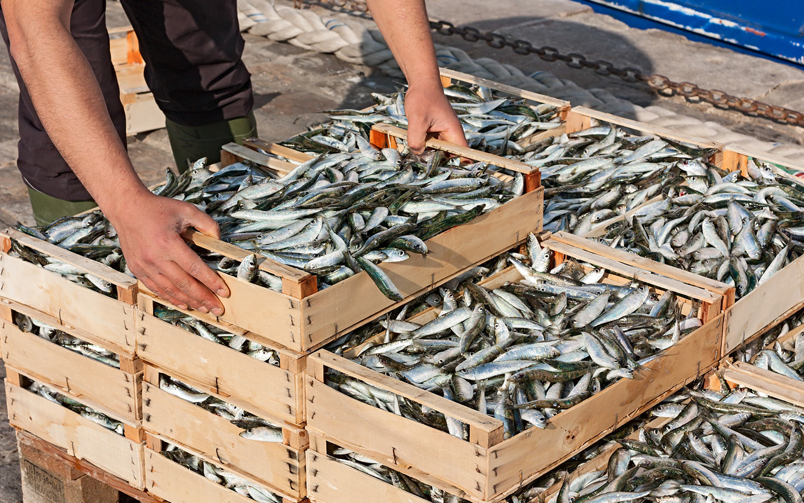 Piața de pește Newhaven
