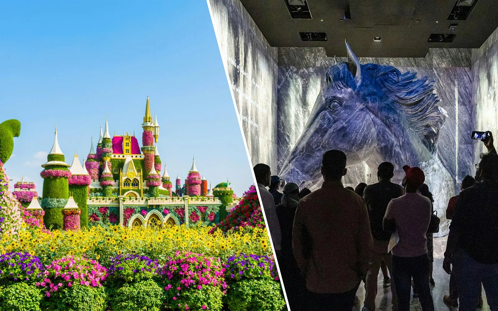 Combo: Expo City Dubai Pavilion Pass + Dubai Miracle Garden Tickets