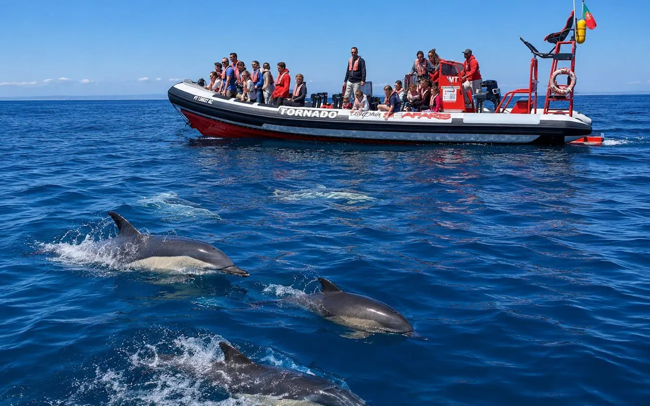 Tourists on a boat watching dolphins in Lagos, Algarve.