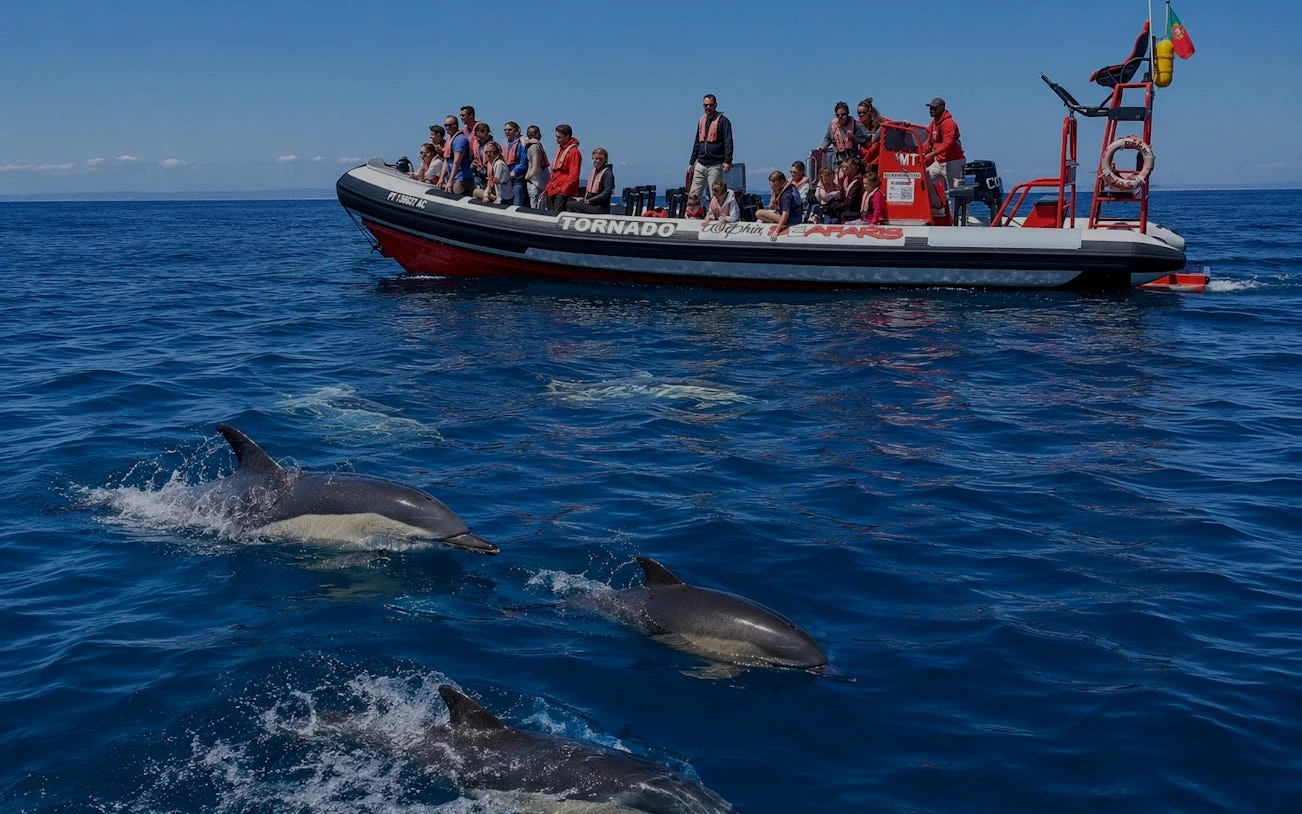 Tourists on a boat watching dolphins in Lagos, Algarve.