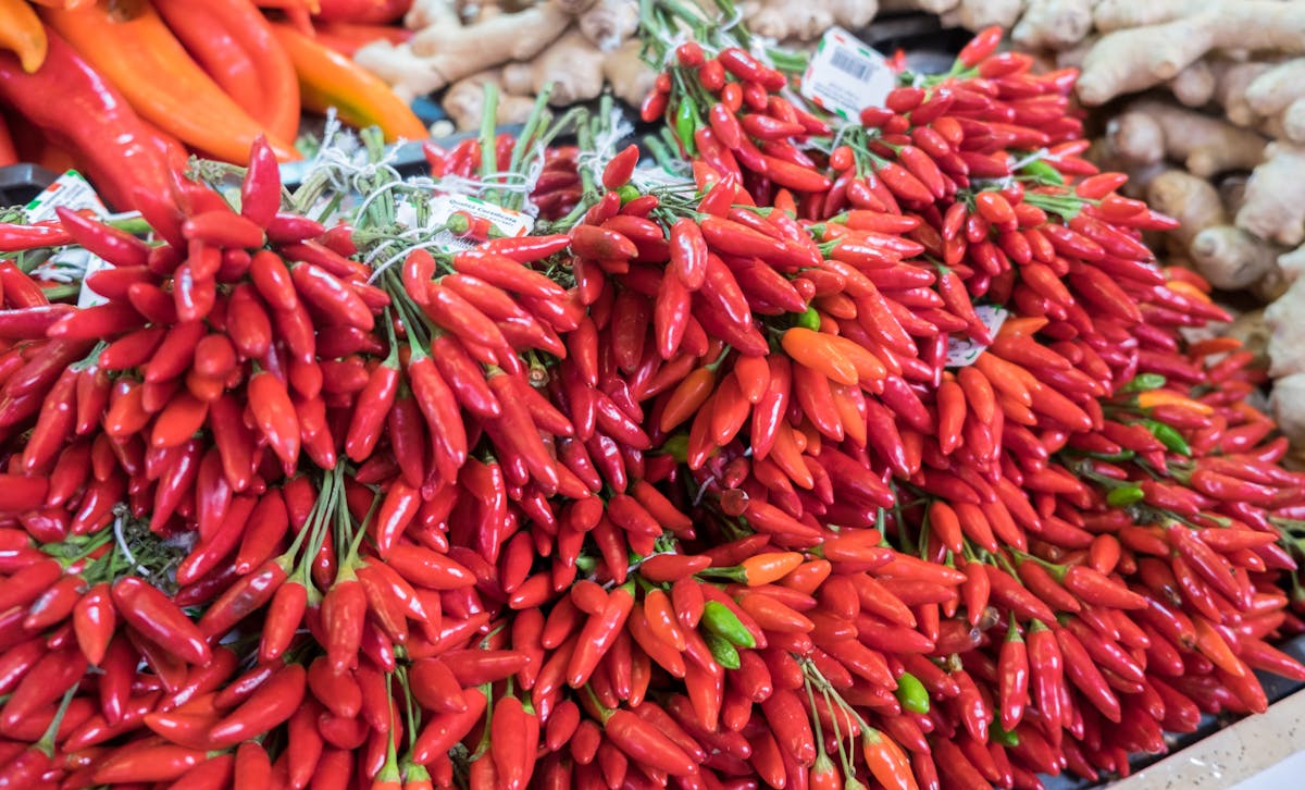 Paprika festival