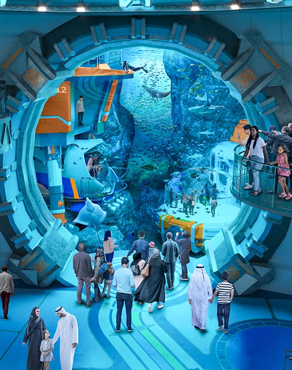Visitors exploring underwater exhibits at Sea World Abu Dhabi.