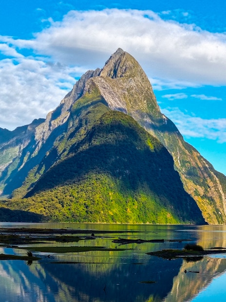 Mitre Peak reflecting in Milford Sound, New Zealand, under a clear blue sky.