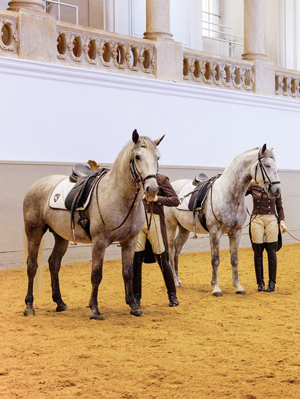 Spanish Riding School