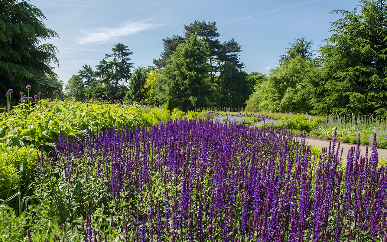 Biglietti combinati: Torre di Londra con accesso ai gioielli della Corona + biglietti per i Kew Gardens — 8