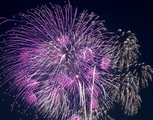 Fireworks display with purple and white bursts against a night sky.
