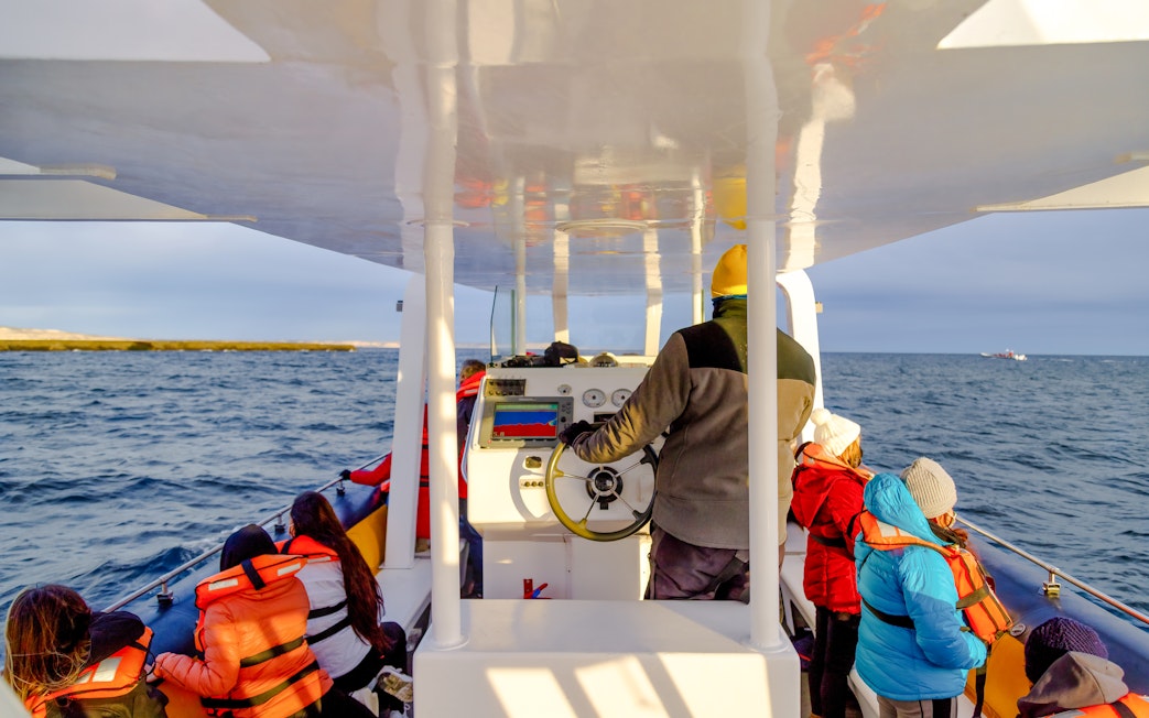 Boat captain steering tourists on a wildlife tour to see dolphins, seals, and whales.