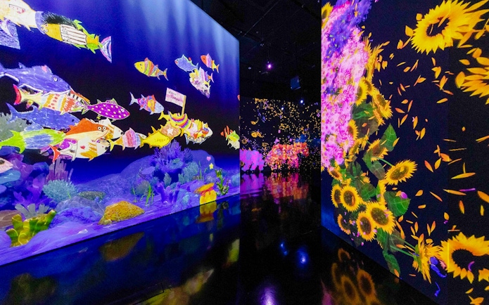 Colorful cartoon fish swim on a projection-mapped wall beside vibrant sunflowers.