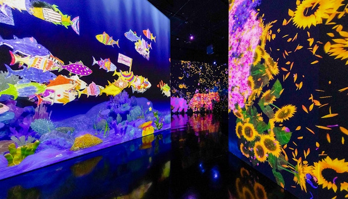 Colorful cartoon fish swim on a projection-mapped wall beside vibrant sunflowers.