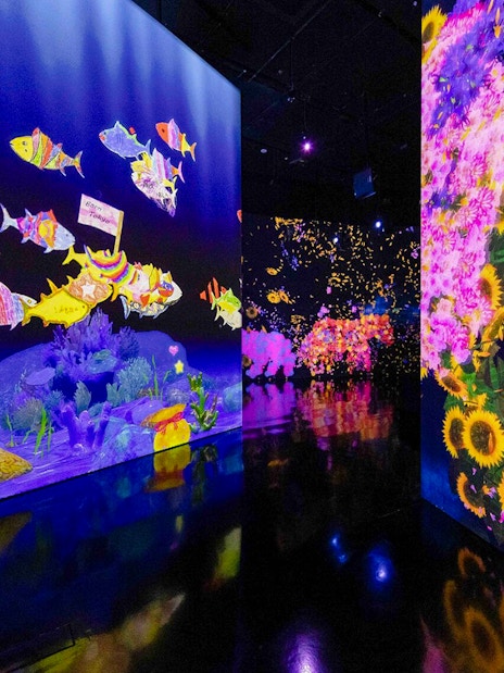 Colorful cartoon fish swim on a projection-mapped wall beside vibrant sunflowers.